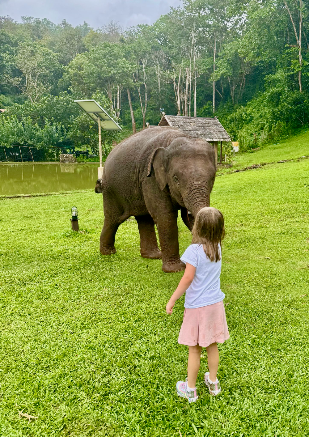 Family with children exploring a busy Asian city street market